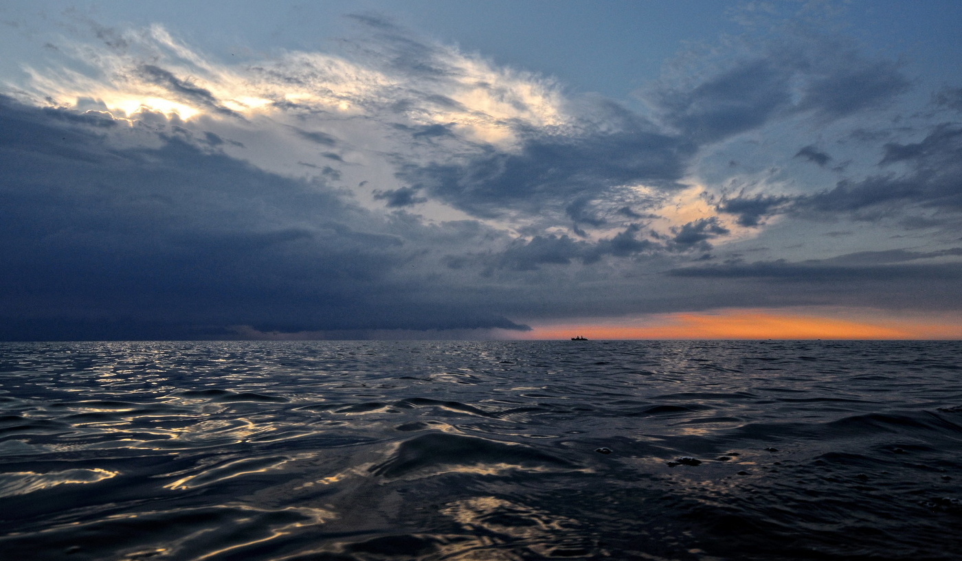 За пять минут до грозы.