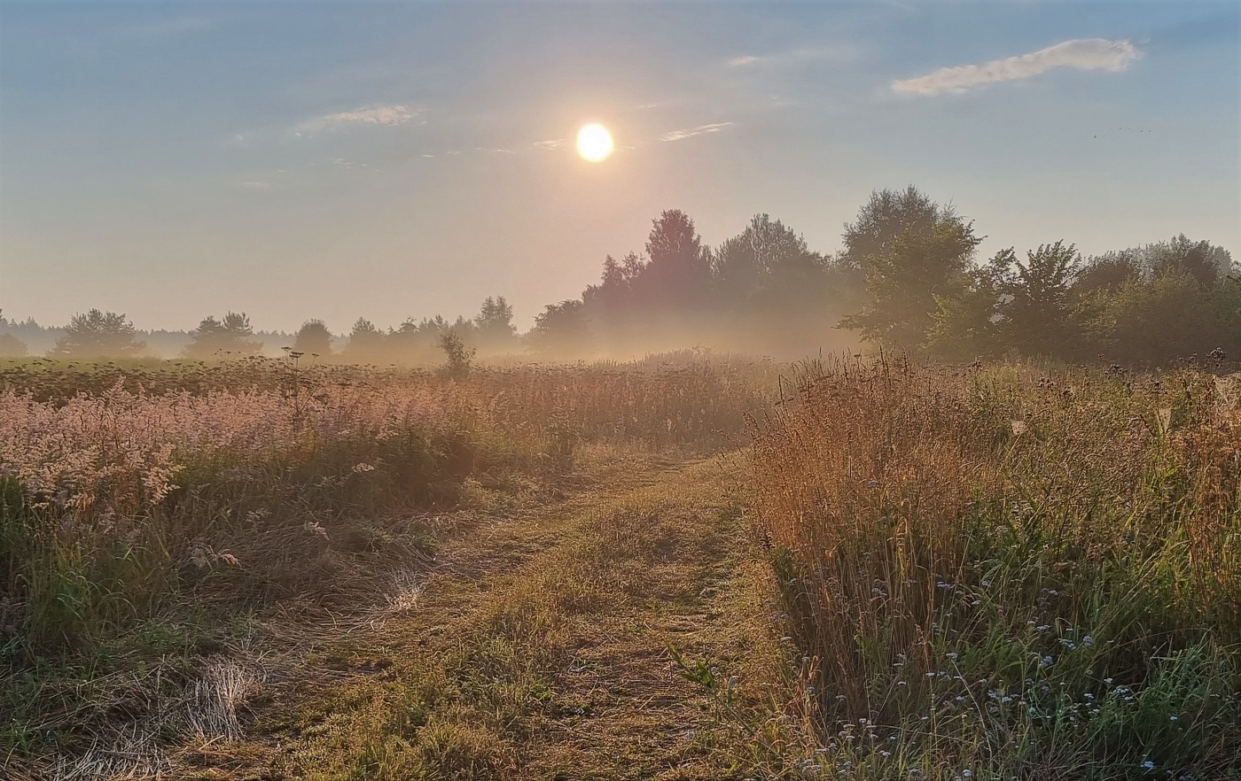 Солнце встает...