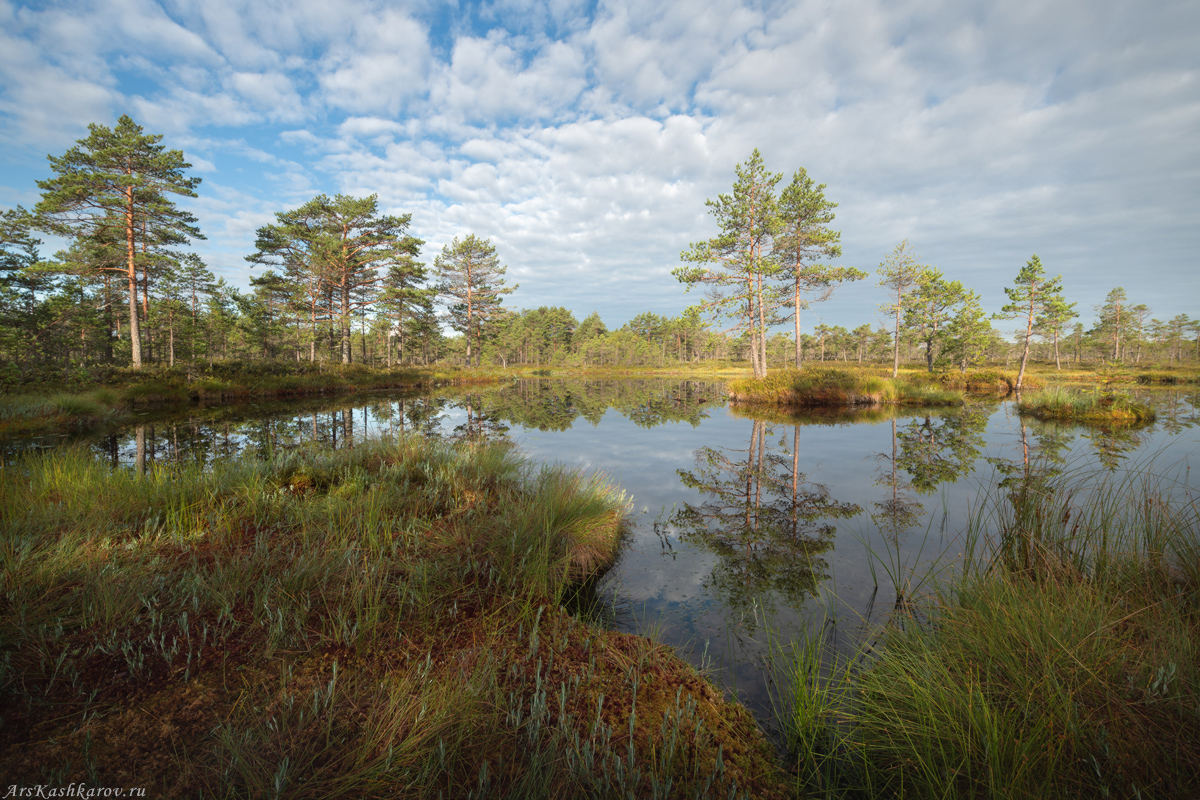"Августовская весна"