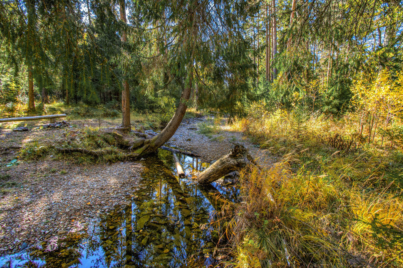 Лесной уголок