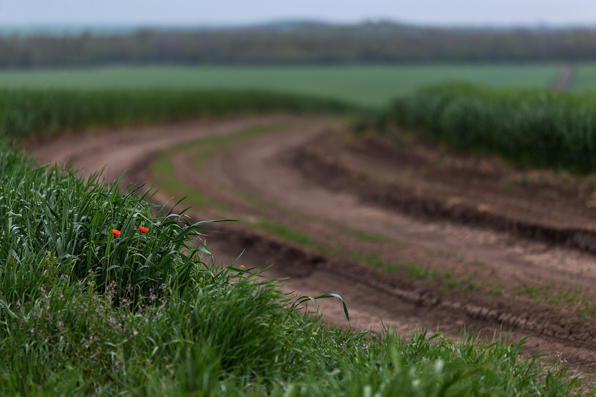 Куда-то еду...