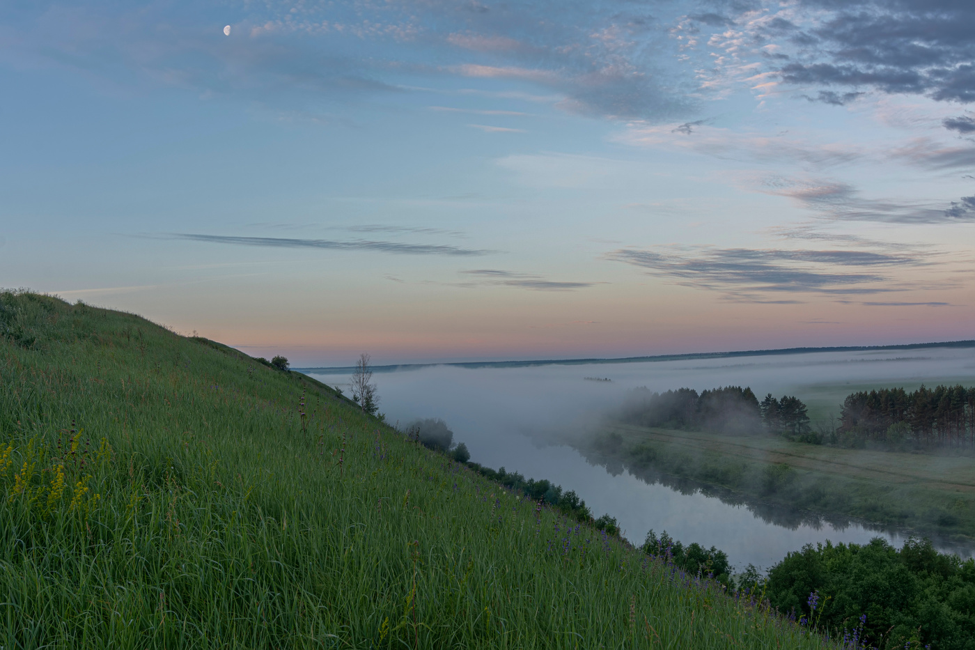 "молочная долина" 2