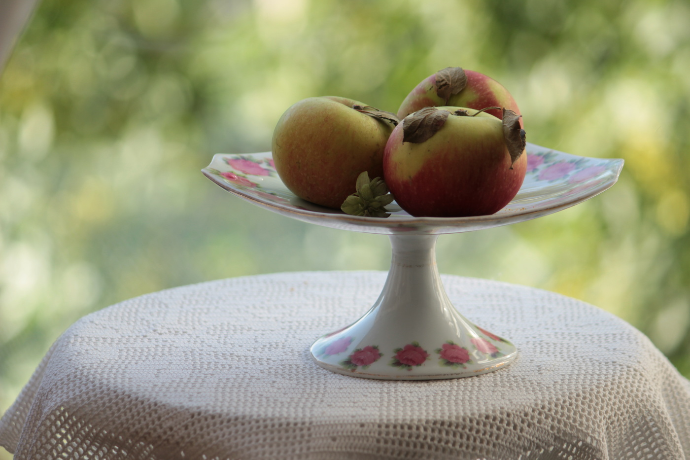 Я б л о ч к и