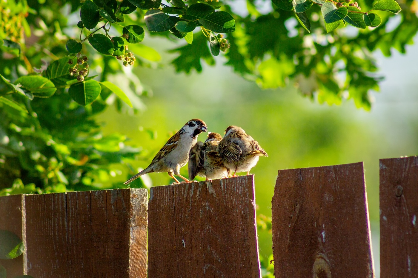 Все лучшее детям.