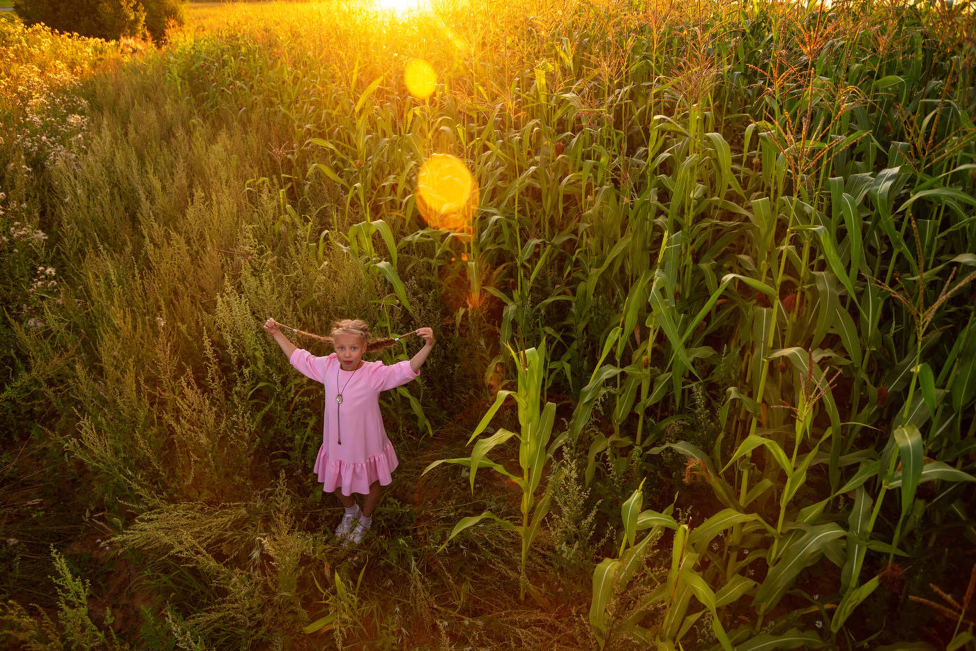 Пролетая над Викой