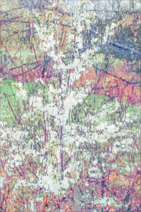 Дождь за окном