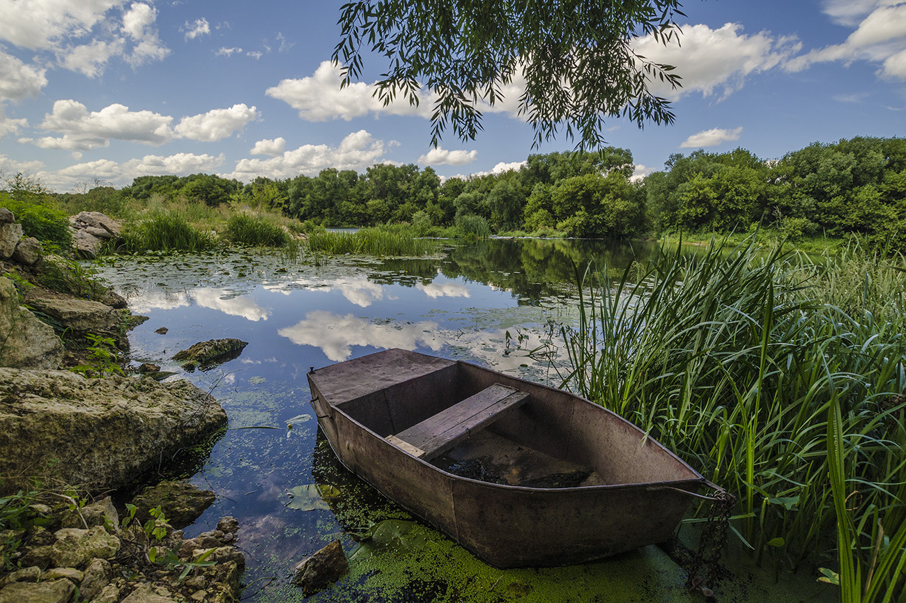 Летний день на Дону