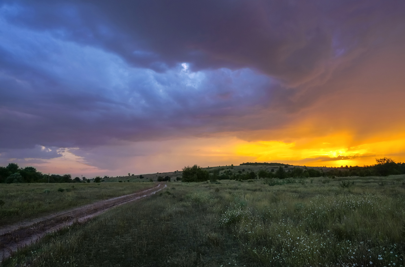 Перед дождем