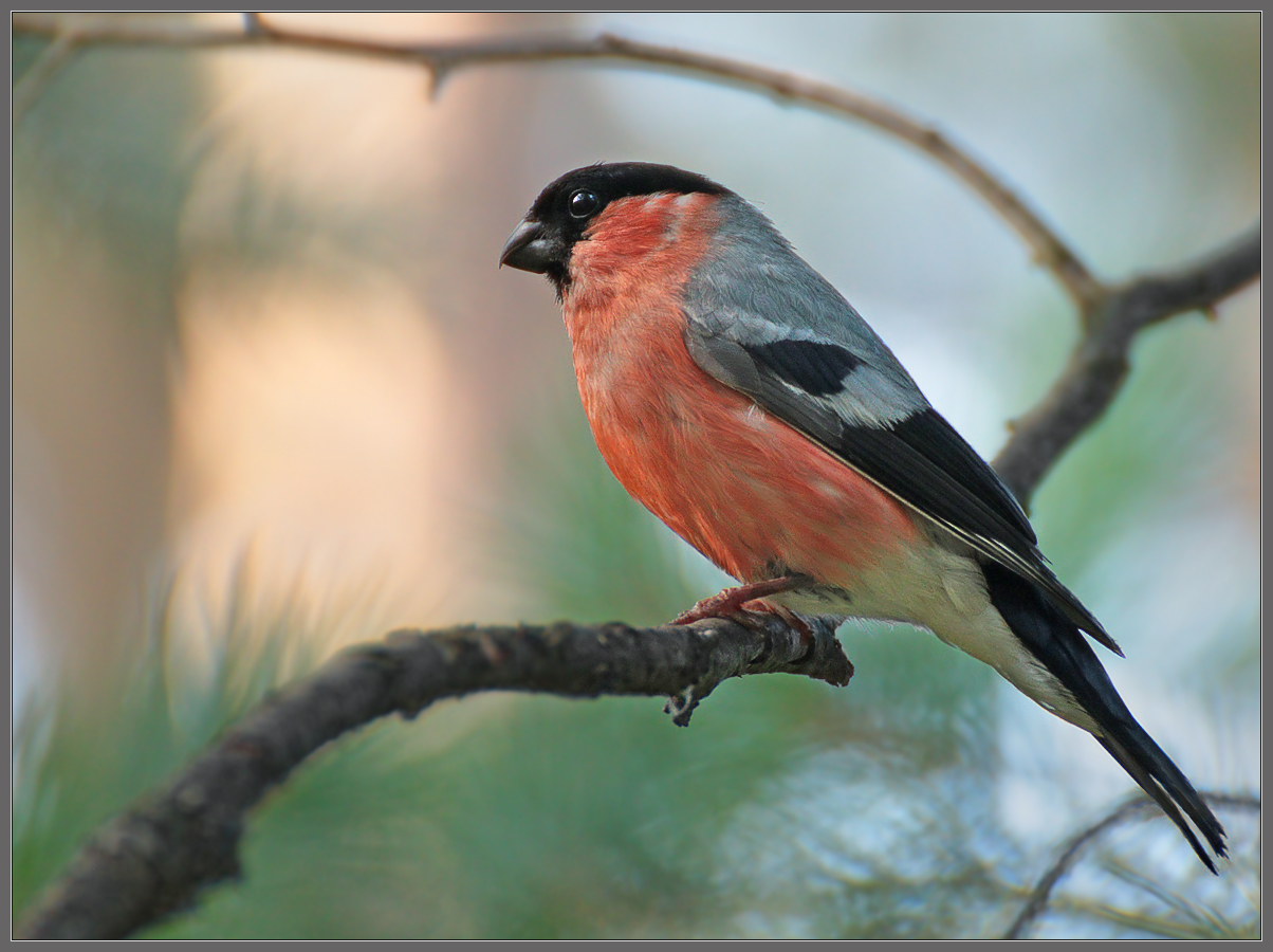 Детей вырастил - наконец-то можно отдохнуть