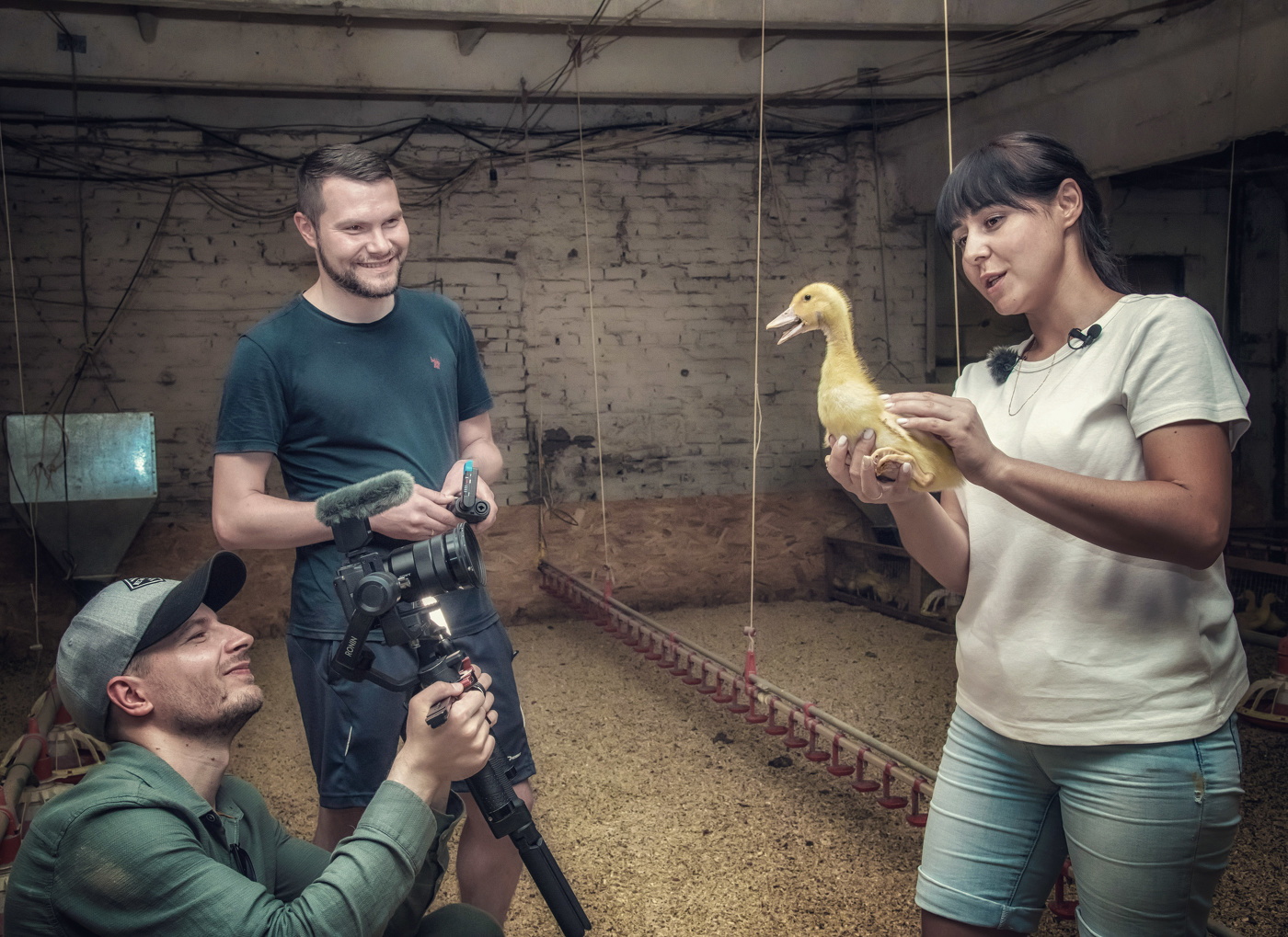 На птицеферме