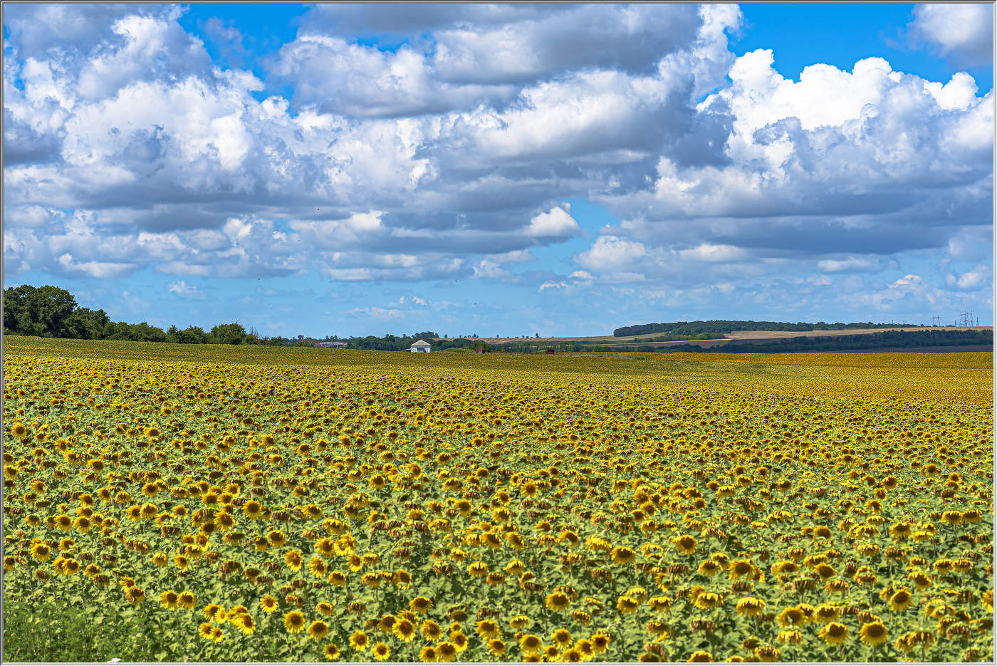 Солнечный простор