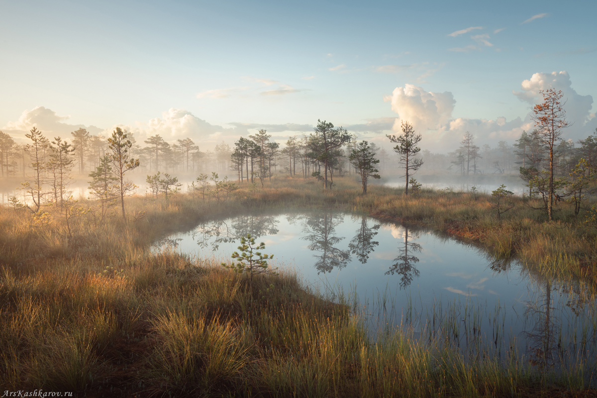 "Утренняя прогулка"