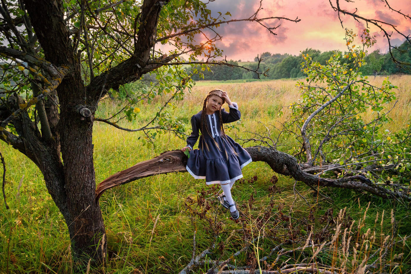 Розовый закат