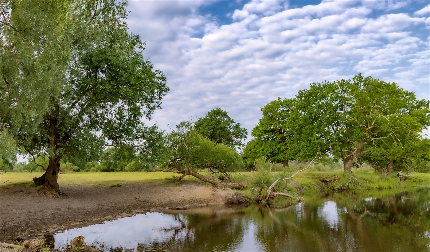 Тихое утро Полесья...
