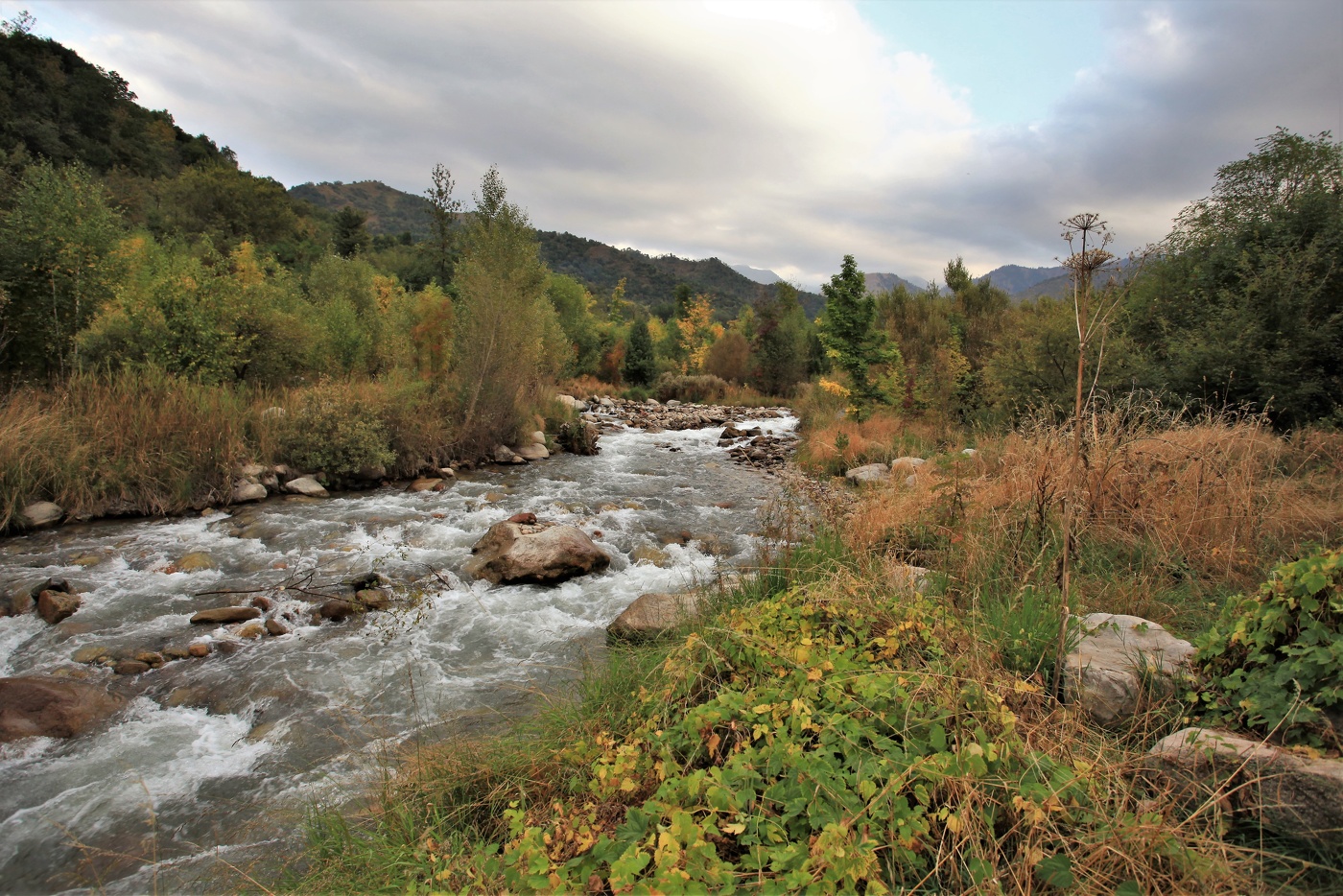 Уж осень близится