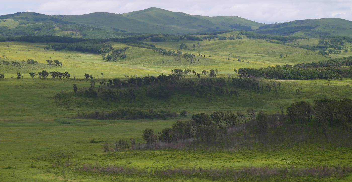 Дальний восток.Лето.