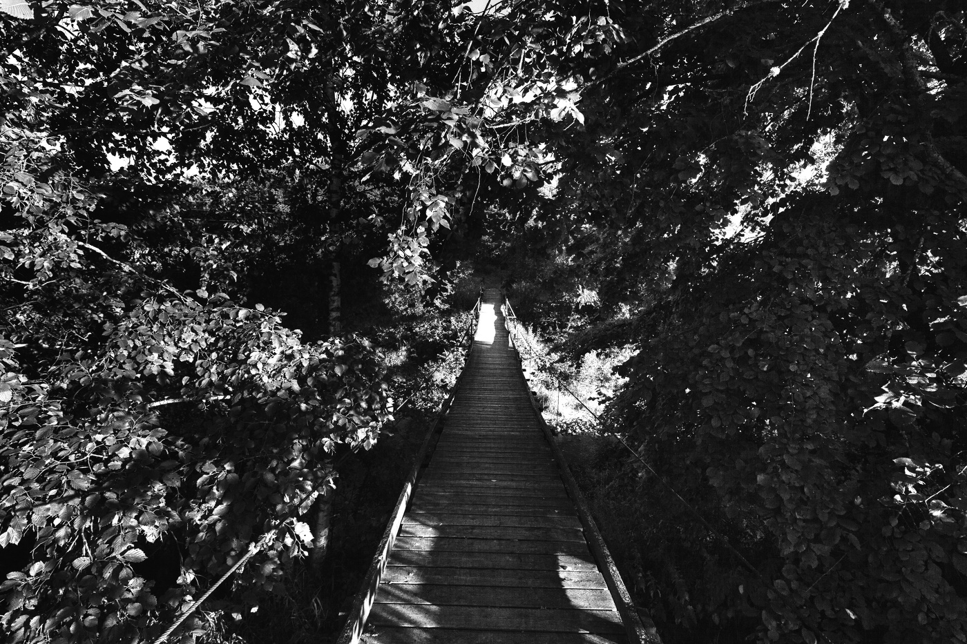 Жизнь вокруг