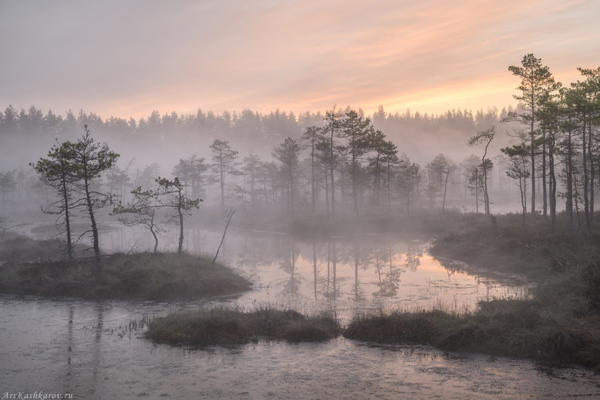 "Сезон туманов"