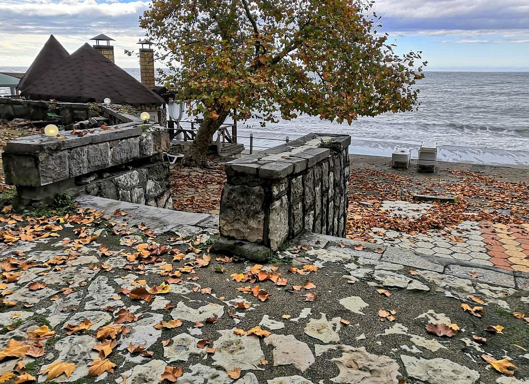 Осень в Гаграх...