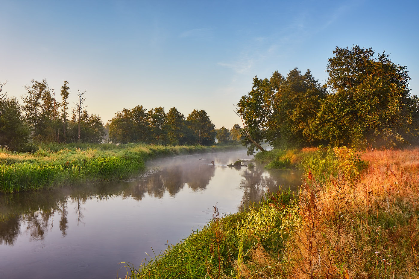 Летний Неман. Утро Августа