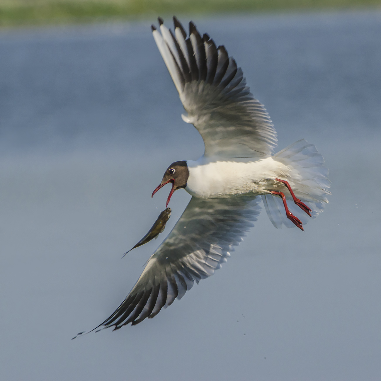 Всё решает мгновение
