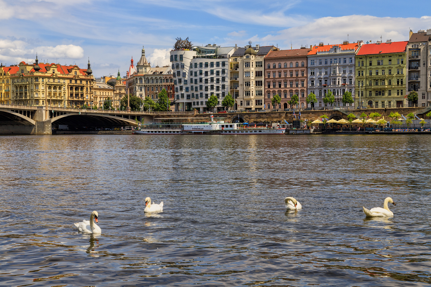 Лебеди на Влтаве