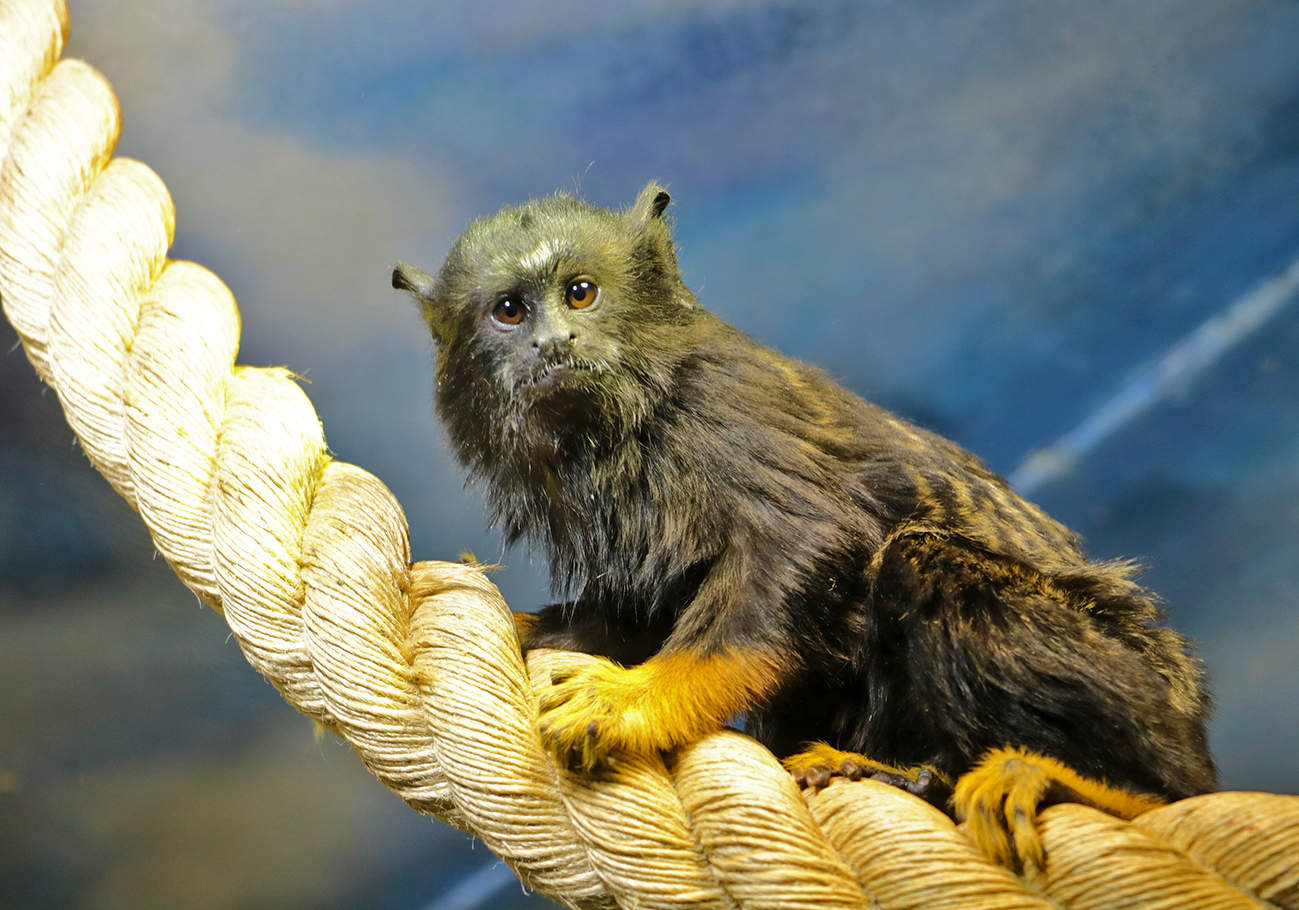 И чё вам надо?..