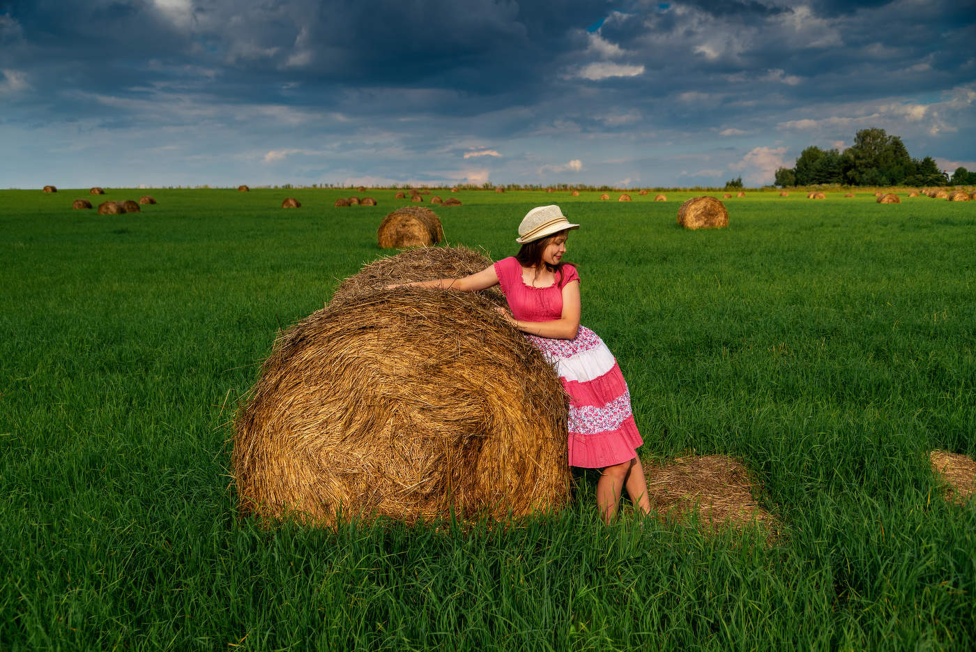 Рулонное поле