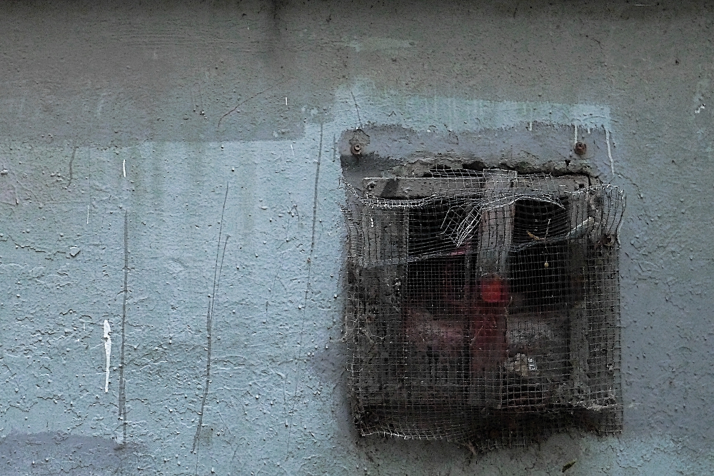 завтра будет хороший день