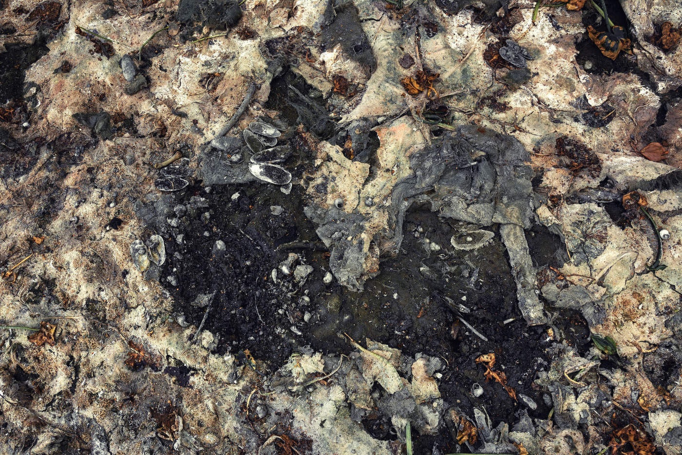 Жизнь вокруг