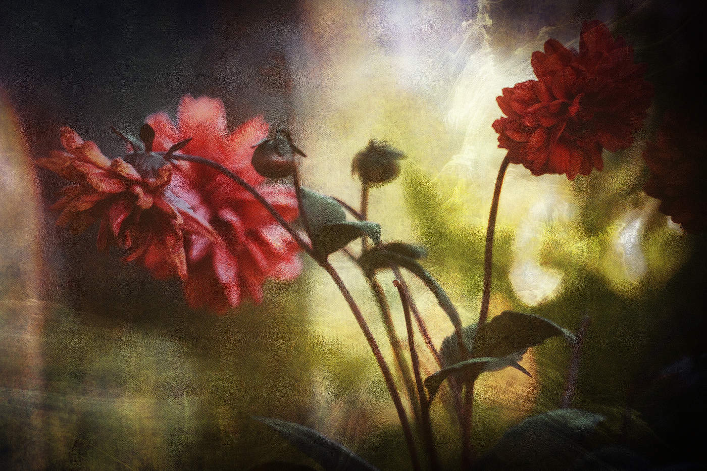 Почти как люди.