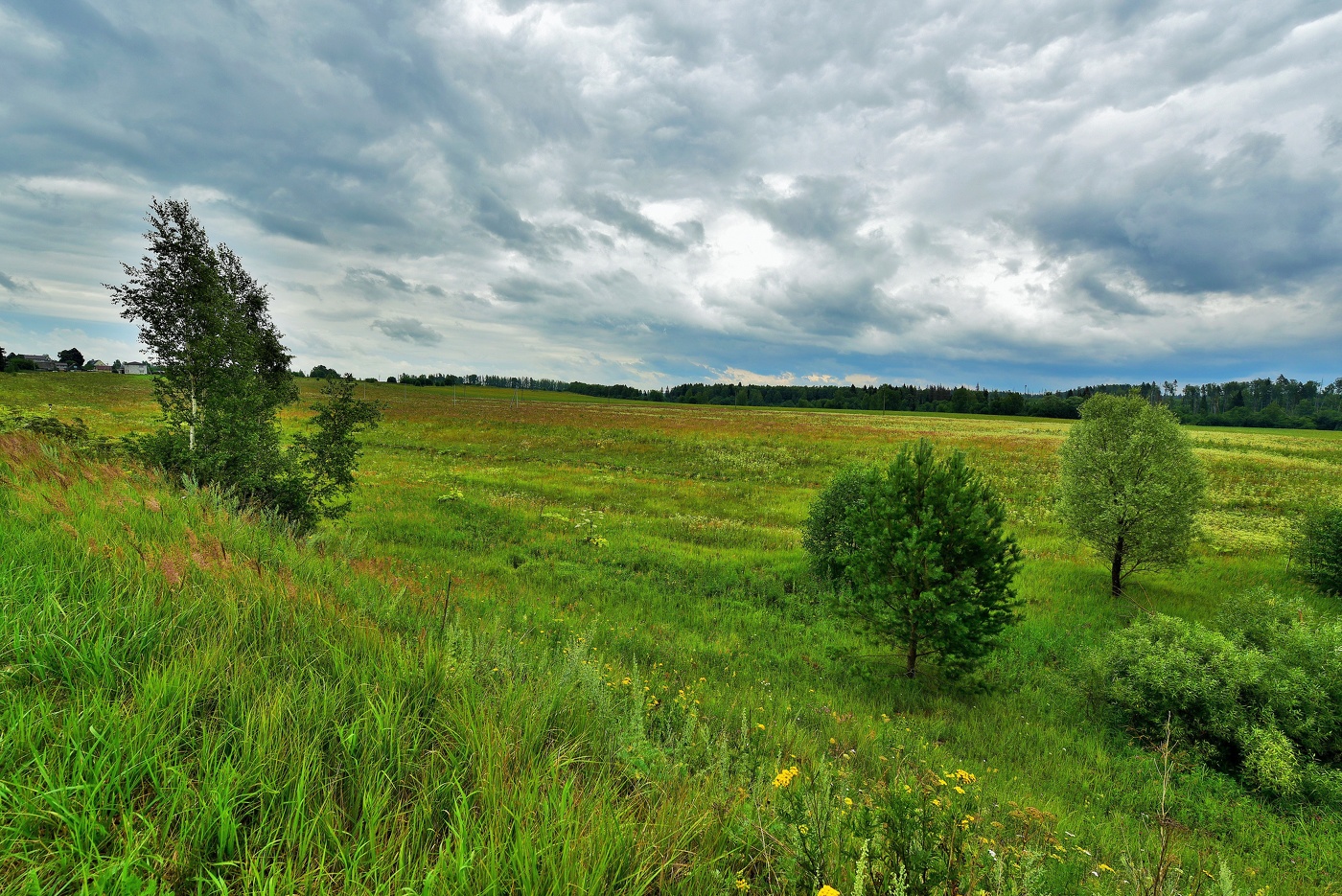 "Широко необъятное поле, а за ним чуть синеющий лес..."