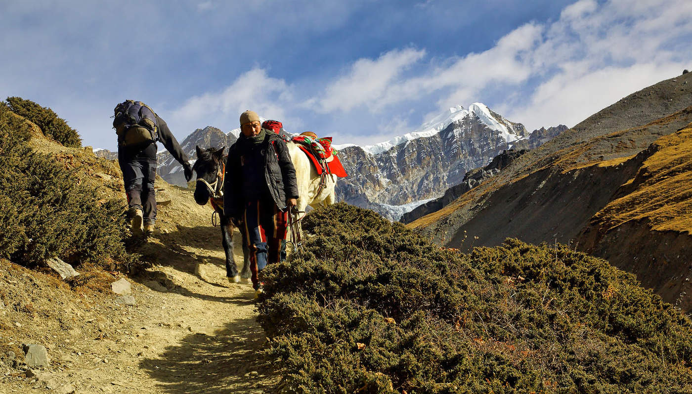 На встречных курсах
