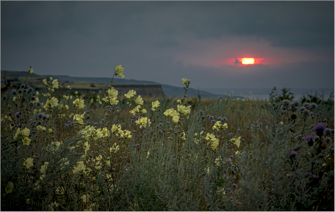 Уходящий день