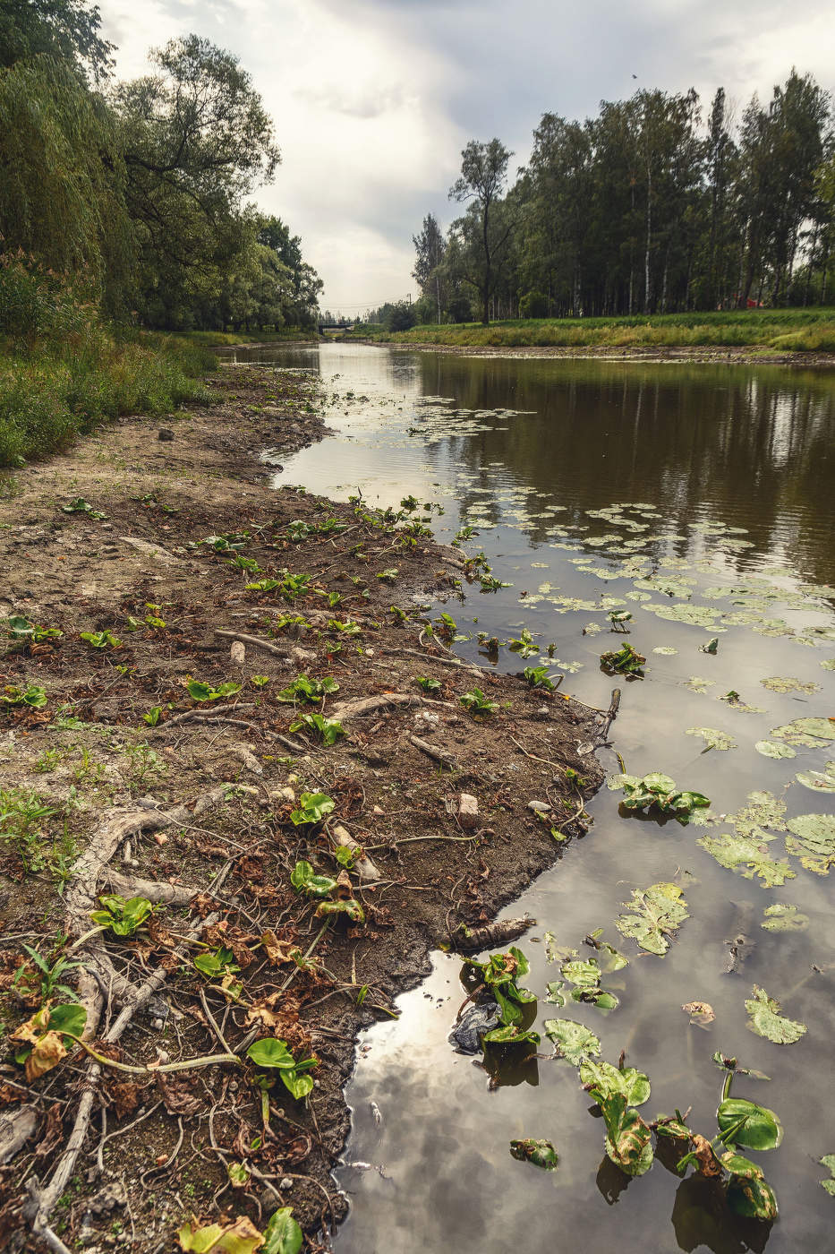 Жизнь вокруг