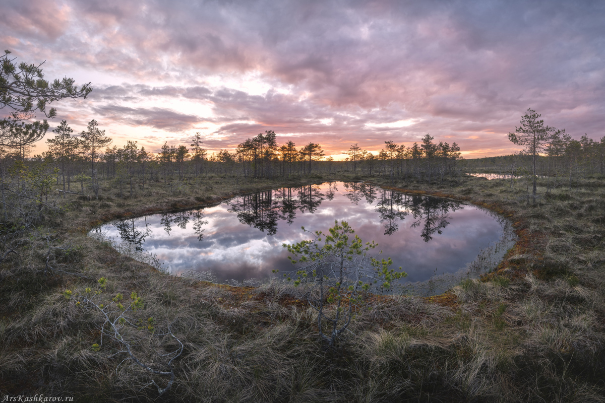 "Болотное озерко"