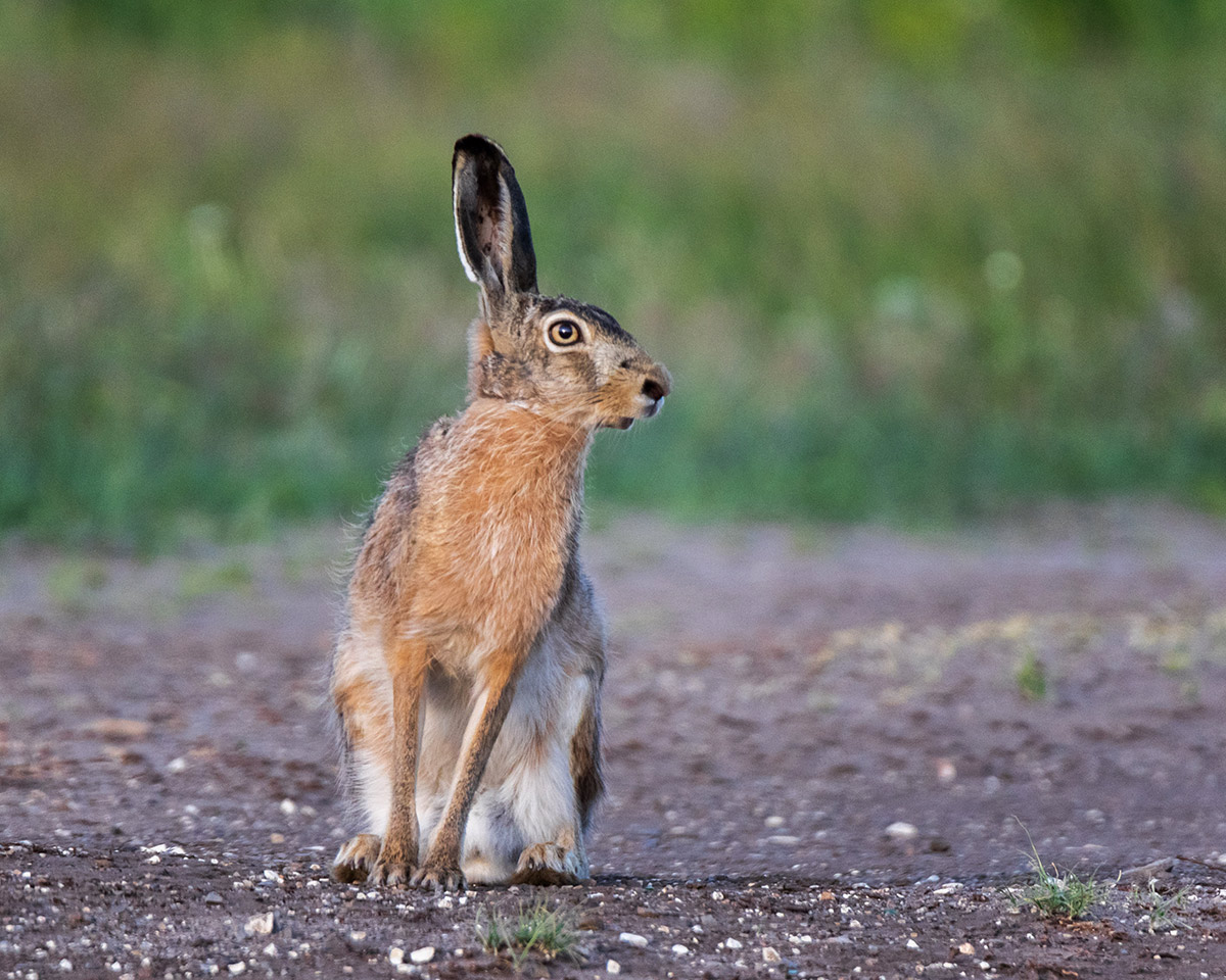 Призадумался