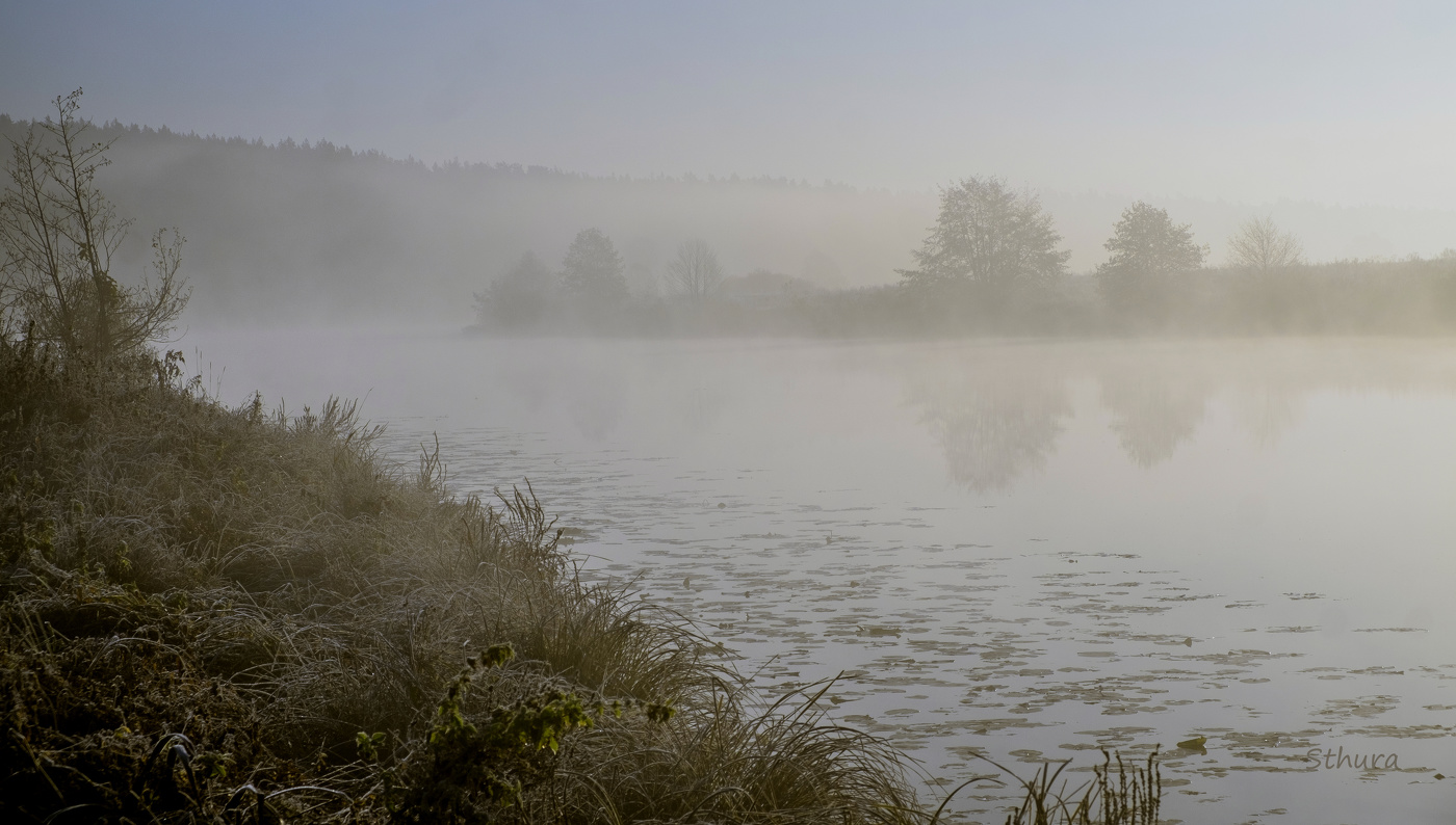 Утро, туман.