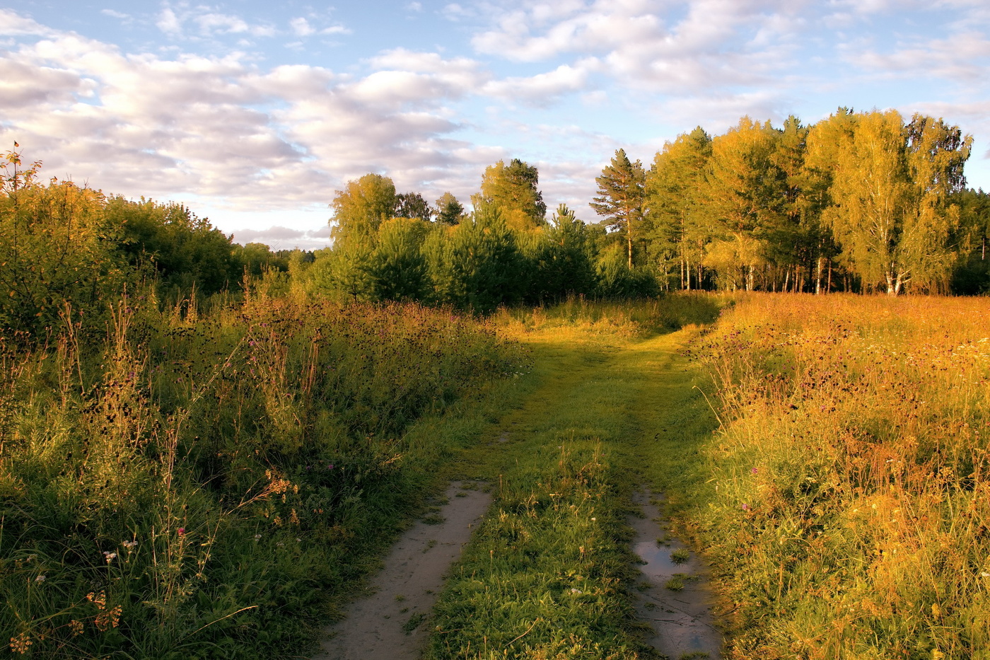 *Августовским вечером.**