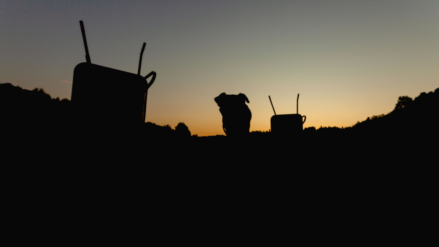 Жизнь вокруг