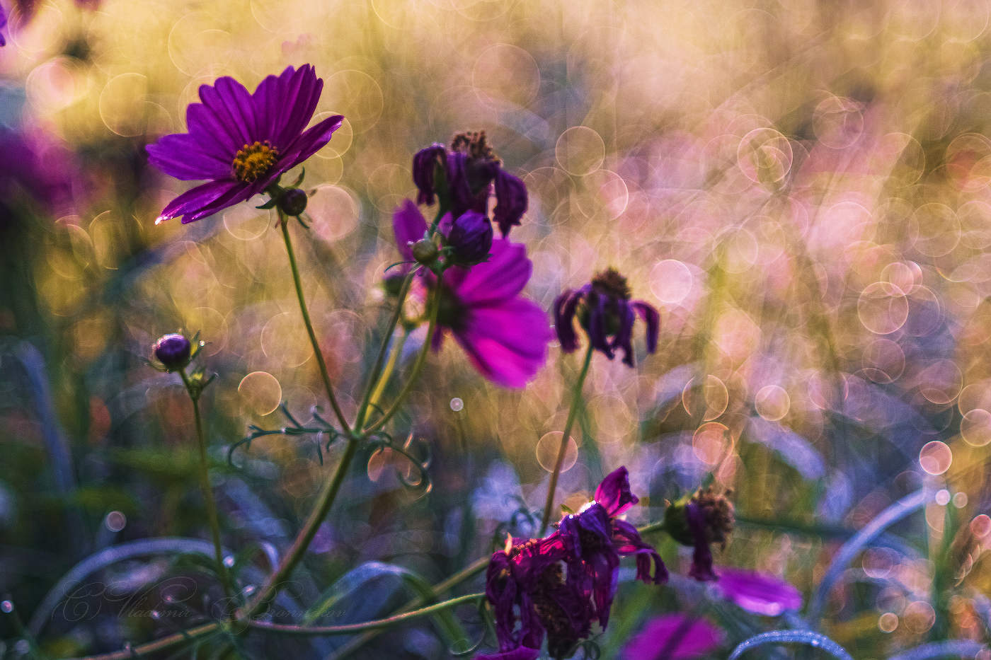 На пороге осень