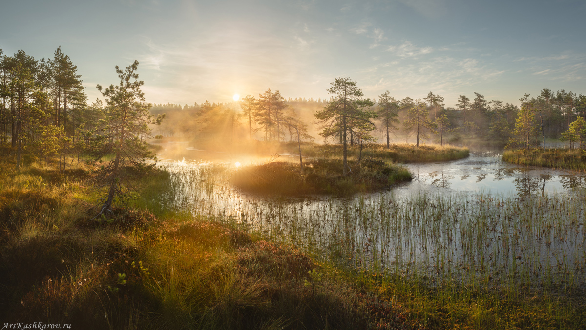 "Тепло летнего утра"