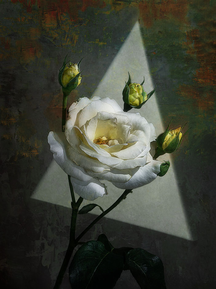 блондинка (воспоминания)