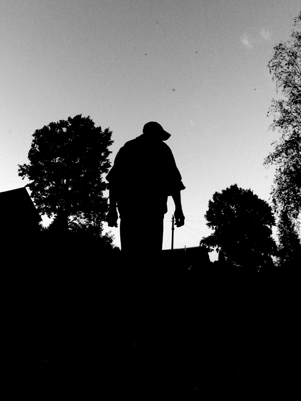 Жизнь вокруг