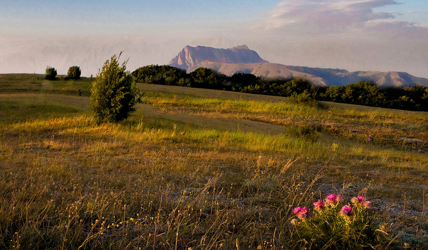 Утро августа