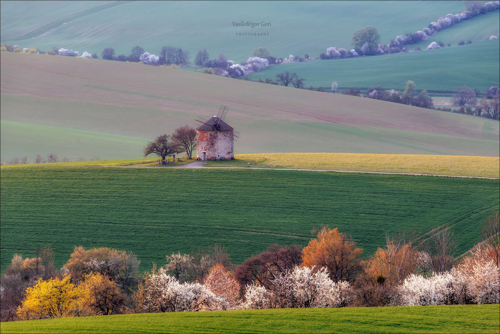 Весенний Кунковице