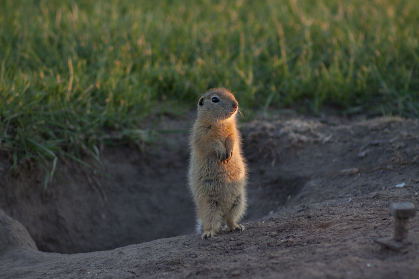 У дома своего