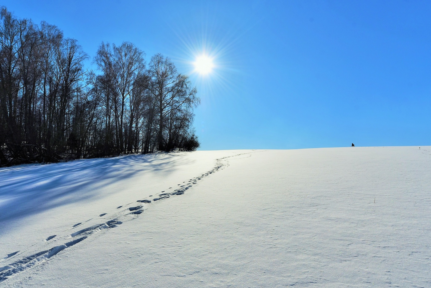 "Тихо саваном белым по полю ходит зима ..."
