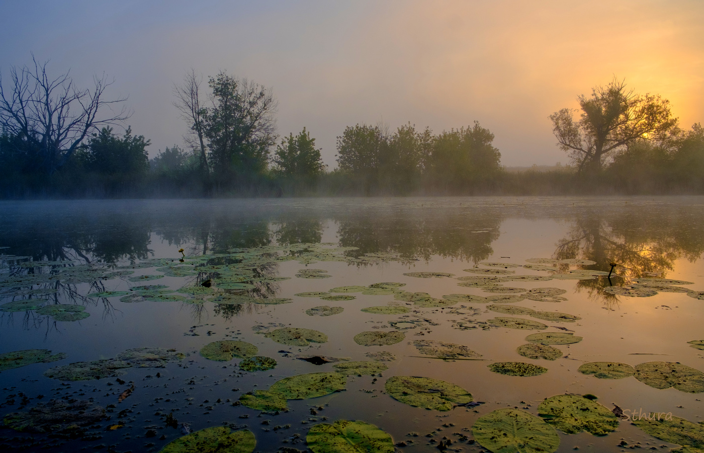 Летняя заря.