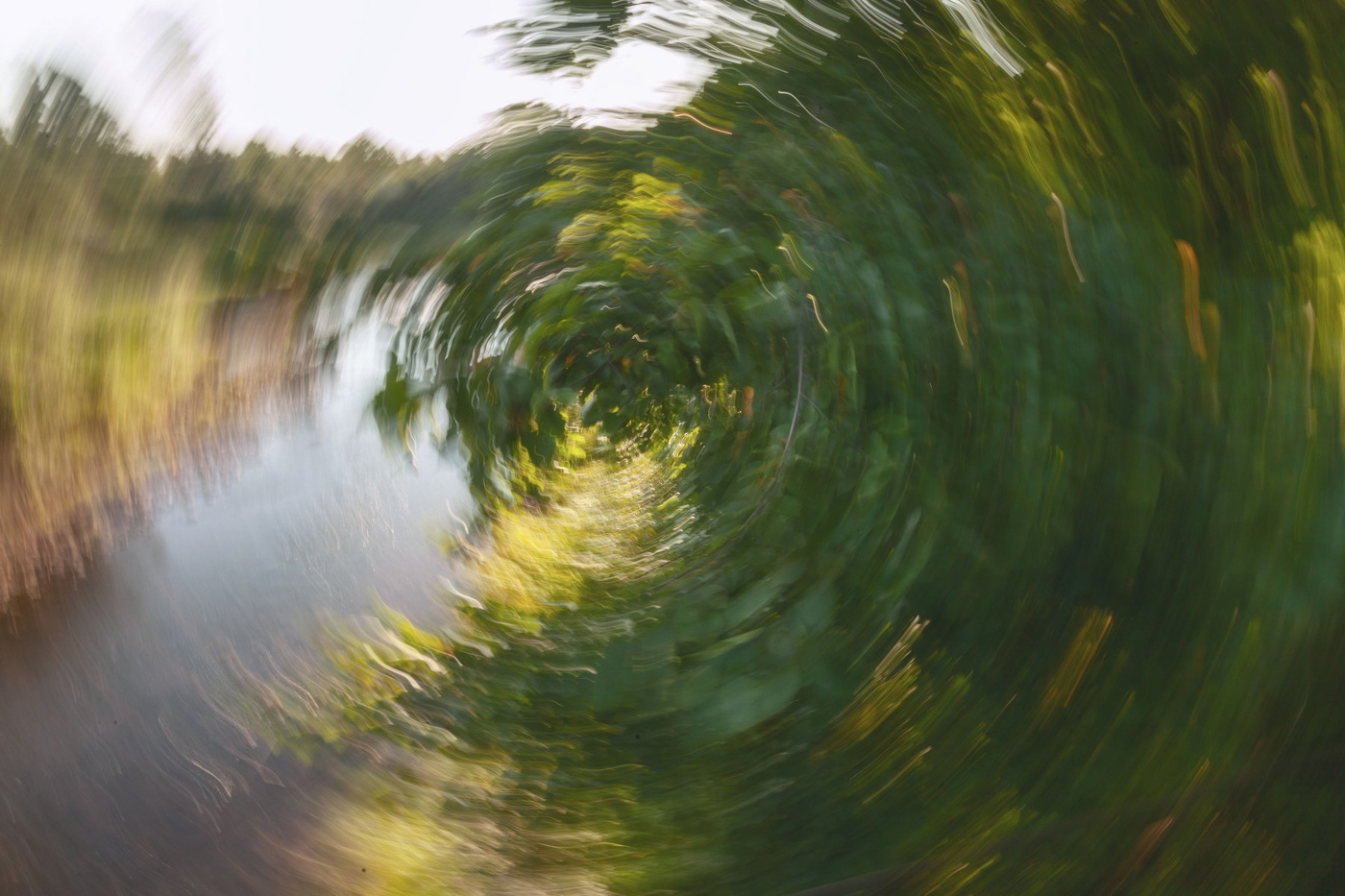 Жизнь вокруг